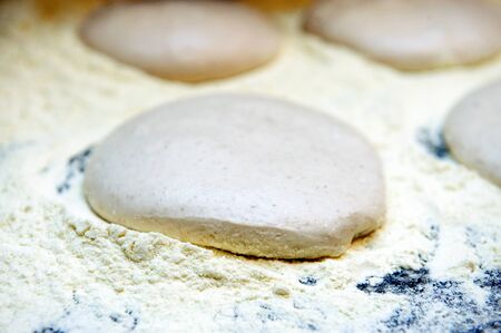 leavened bread dough ready to be transformed into pizza