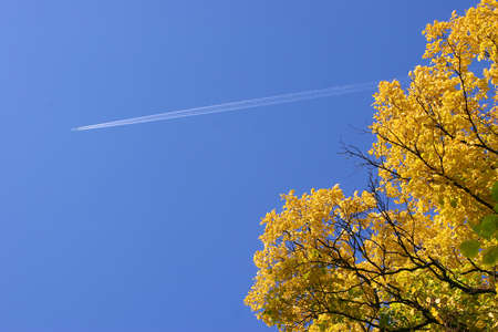 The plane in the sky in the autumnの写真素材