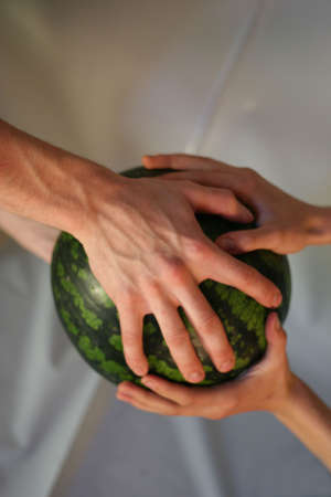 Hands hold a sphere-water-melonの写真素材