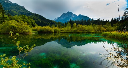 beautiful zelenci springs in sloveniaの写真素材