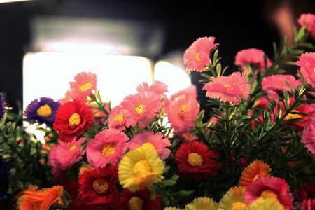 flowersの写真素材