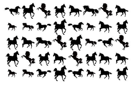 Horse illustrationのイラスト素材