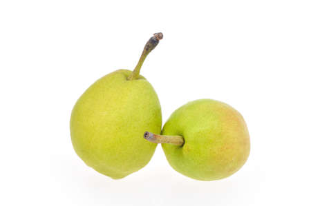 pearsの写真素材