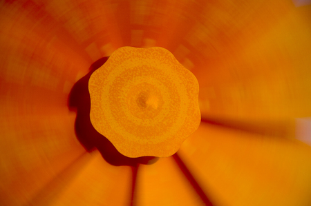 Close up to windmillの写真素材