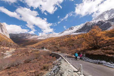 Scenery view of natureのeditorial素材