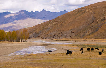 Inagi Aden sceneryの写真素材