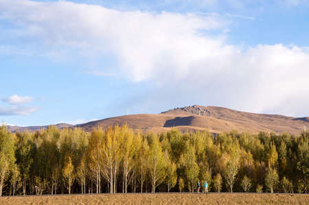 Inagi Aden sceneryの写真素材