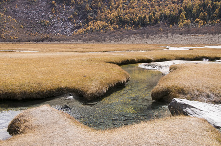 Inagi Aden sceneryの写真素材