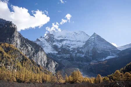 Inagi Aden sceneryの写真素材