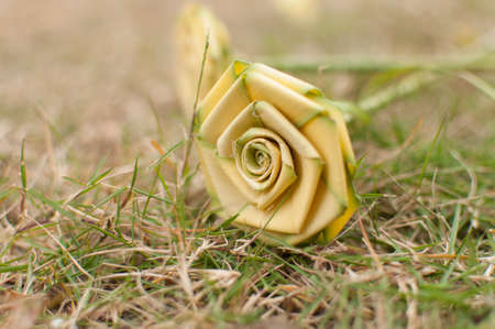 woven rosesの写真素材