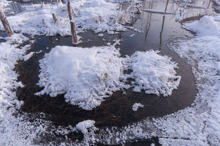 Snow cover the groundの写真素材