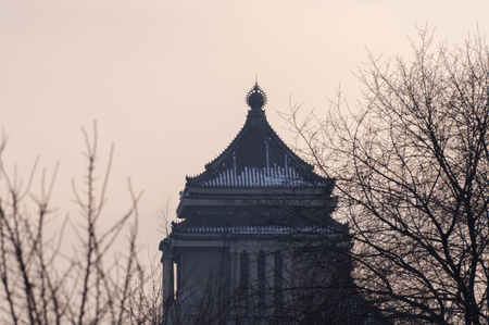 Puppet buildingのeditorial素材