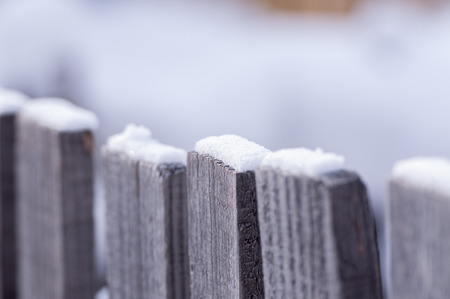 Snow cover the woodの写真素材