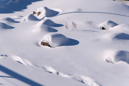 Snow cover the groundの写真素材