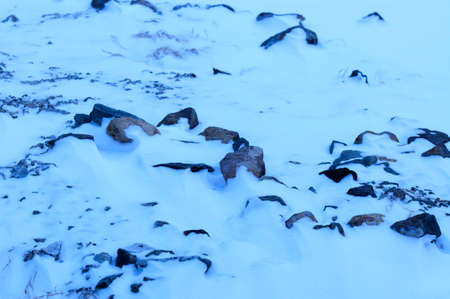 Snow cover the stoneの写真素材