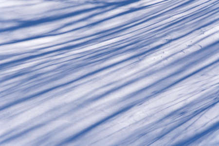 Snow cover the groundの写真素材