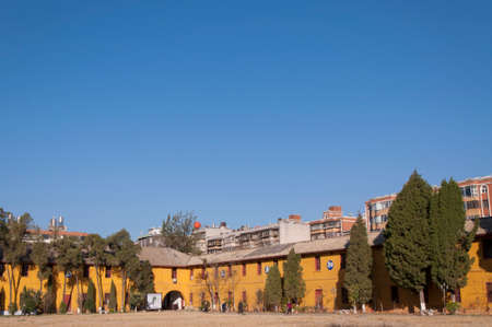 Trees in front of buildingのeditorial素材