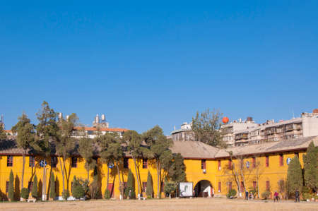 Trees in front of buildingのeditorial素材