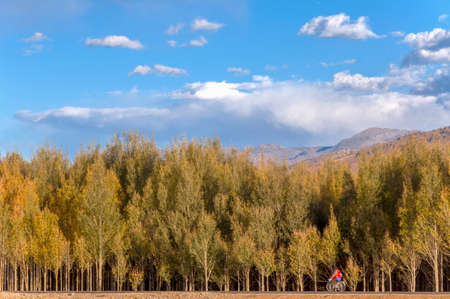 Daocheng, Sichuan sceneryの写真素材