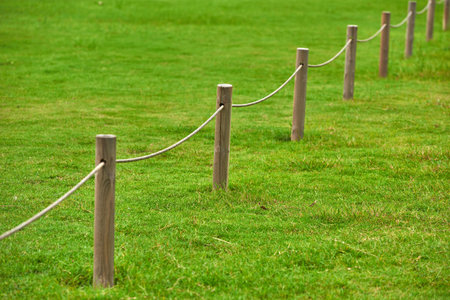 Stakes on the lawn