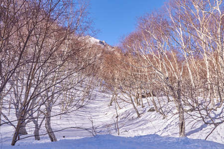 Changbai Mountain Jilin sceneryのeditorial素材