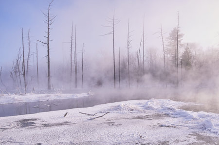 Jilin Baishan City World Parkのeditorial素材