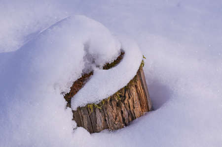 Closeup of snowの写真素材