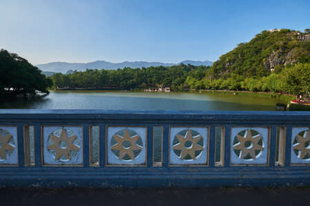 Trees by the lakeの写真素材