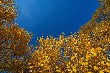 Grassland scenery on the damの写真素材