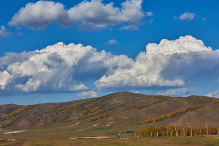 Grassland scenery