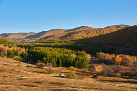 Grassland sceneryの写真素材