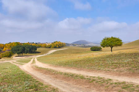 Grassland scenery