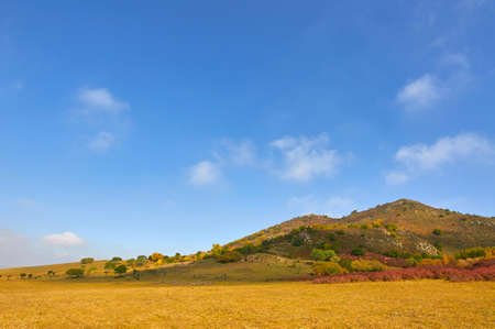 Grassland sceneryの写真素材