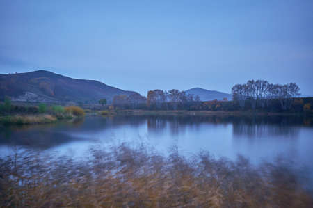 Grassland scenery