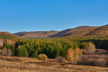 Grassland scenery on the damの写真素材