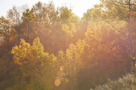 Grassland scenery on the damの写真素材