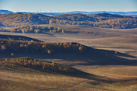 Grassland sceneryの写真素材