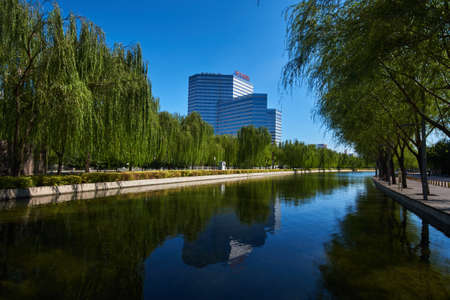 Trees by the riverのeditorial素材