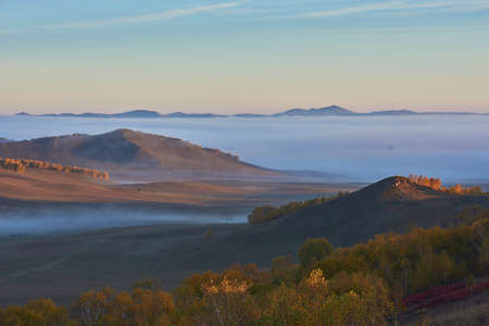 grassland sceneryの写真素材