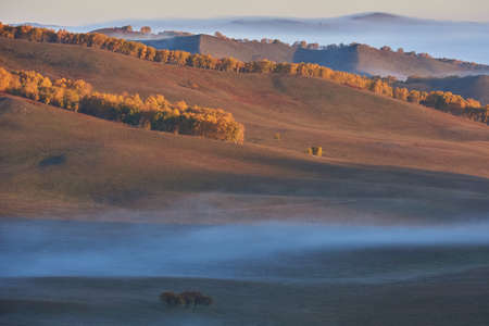 grassland sceneryの写真素材