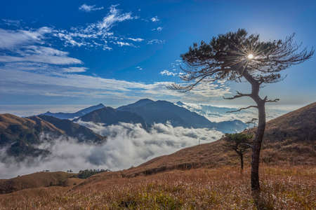 Mountian against the skyの写真素材