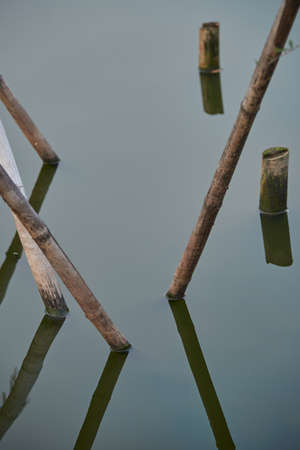 Bamboo sticks in water