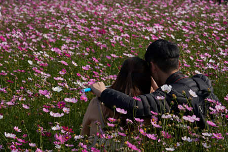 galsang flowerの写真素材