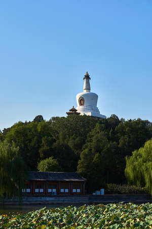 Building in front of a stupaの写真素材