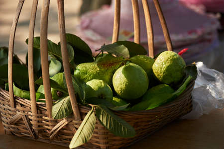 Guava fruits in a basket
