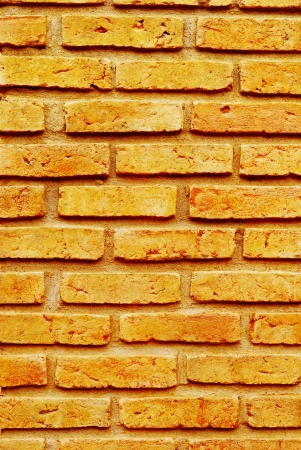 brick wall for background 