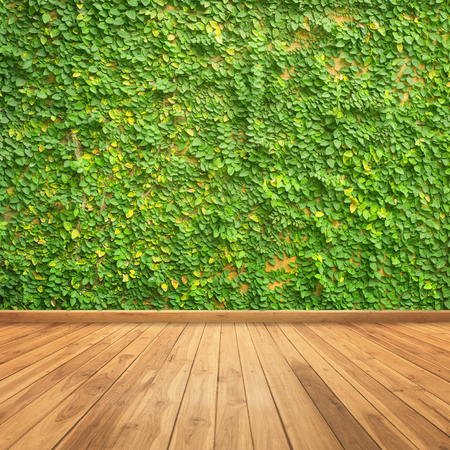 Leaves on wall and wood wall for background