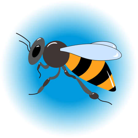 Honey bee. Isolated insect icon. Flying bee. Black bee with white wings. Flat style illustration....