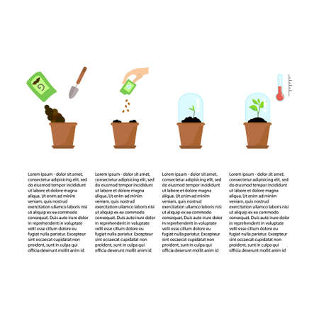 Line sprout and plant growing. Linear nature leaf, grow tree, garden and flower, organic gardening, eco flora. Timeline infographic of planting tree process, business concept flat design.のイラスト素材