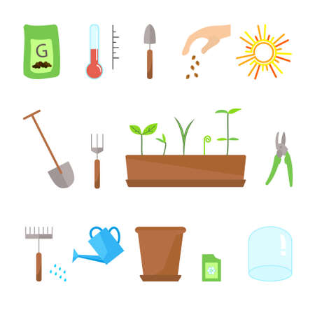 Line sprout and plant growing. Linear nature leaf, grow tree, garden and flower, organic gardening, eco flora. Timeline infographic of planting tree process, business concept flat design.のイラスト素材